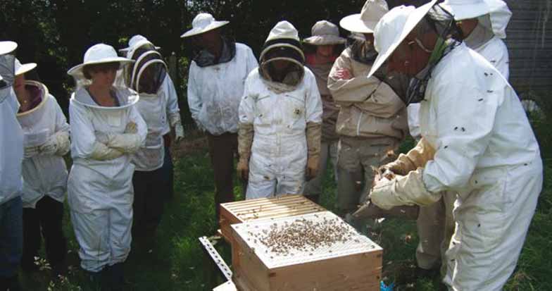 An MBKA training session in the apiary